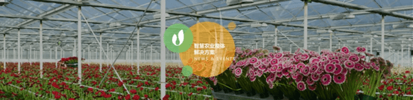 深圳市朗文科技實(shí)業(yè)有限公司 深圳市朗文科技實(shí)業(yè)有限公司