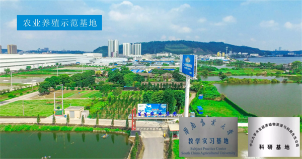 生生農(nóng)業(yè)集團(tuán)股份有限公司戰(zhàn)略梳理&組織規(guī)劃項(xiàng)目啟動(dòng) 生生農(nóng)業(yè)集團(tuán)股份有限公司戰(zhàn)略梳理&組織規(guī)劃項(xiàng)目啟動(dòng)