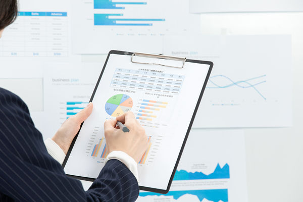 預(yù)算管理與企業(yè)成長:共創(chuàng)未來可持續(xù)發(fā)展的基石 預(yù)算管理與企業(yè)成長:共創(chuàng)未來可持續(xù)發(fā)展的基石