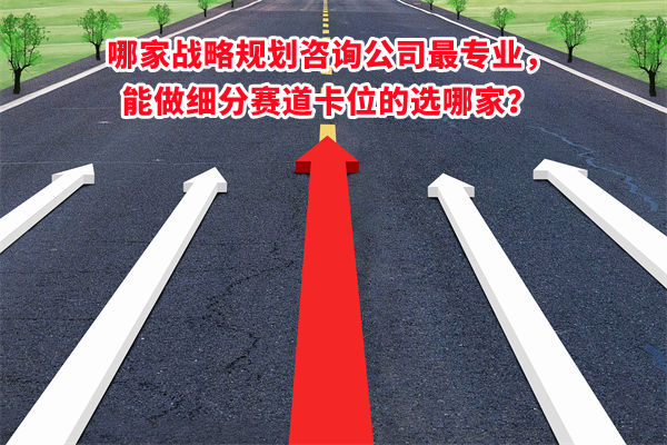 哪家戰(zhàn)略規(guī)劃咨詢公司最專業(yè)，能做細(xì)分賽道卡位的選哪家？